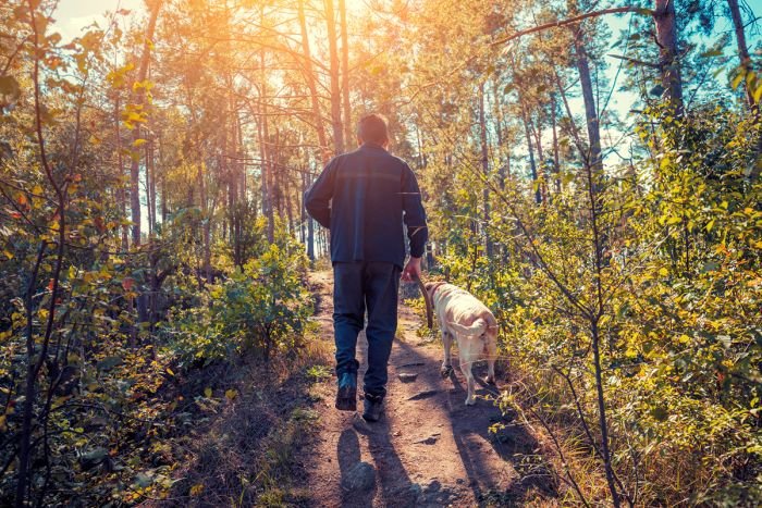 guy walking with dog